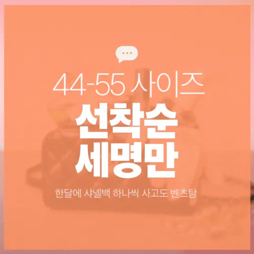 서울 강남구 밤알바