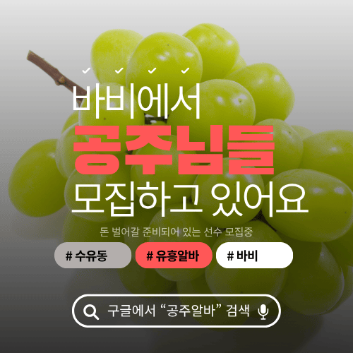 서울 강북구 밤알바