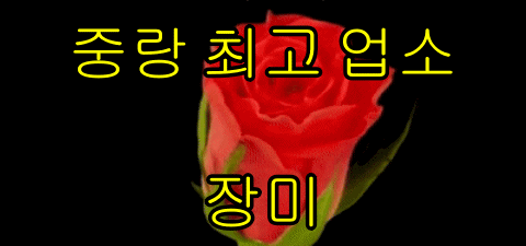 서울 중랑구 밤알바