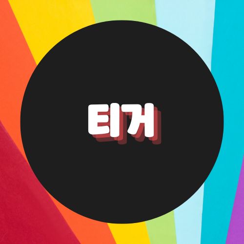 밤알바 유흥알바 여자알바 노래보도 노래방도우미 - 티거