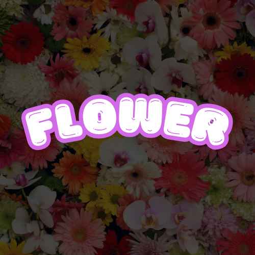 연제 연산 노래방 가라오케 - 오빠야! 언니들 대거 영입 했Day