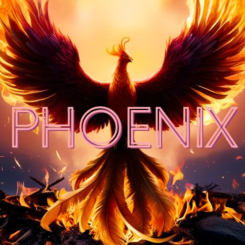 부산 진구 부전 룸 싸롱 가라오케 비즈니스 클럽  - 2026/1/1오픈가게