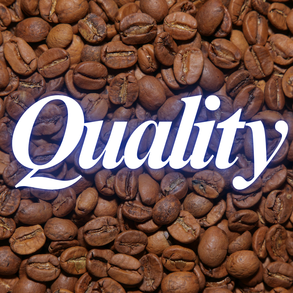 대구 수성 황금 룸 싸롱 가라오케 비즈니스 클럽  - 최고의 서비스로 모시겠습니다